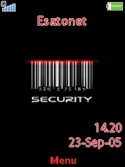 Security W890  theme