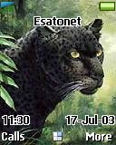 Black Panther t637 theme